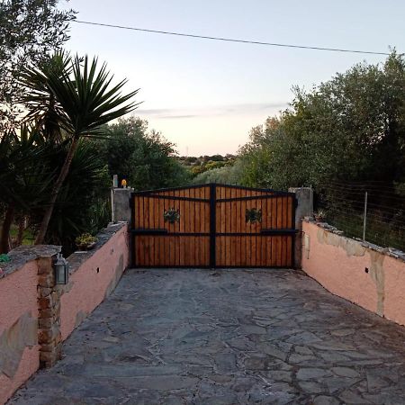 Villa Relax Tra Gli Ulivi Alghero Exterior photo