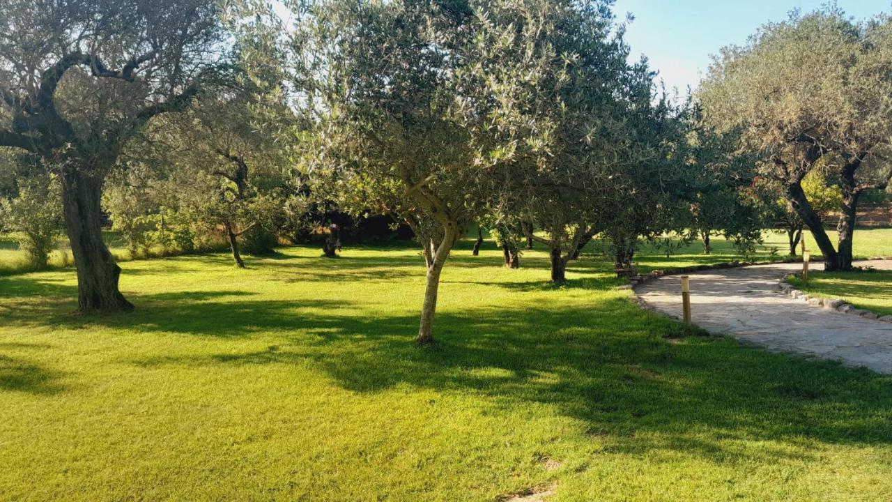 Villa Relax Tra Gli Ulivi Alghero Exterior photo